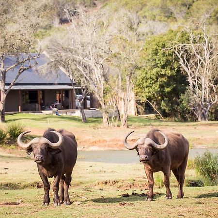 Botlierskop Bush Villas Sandhoogte Exteriör bild