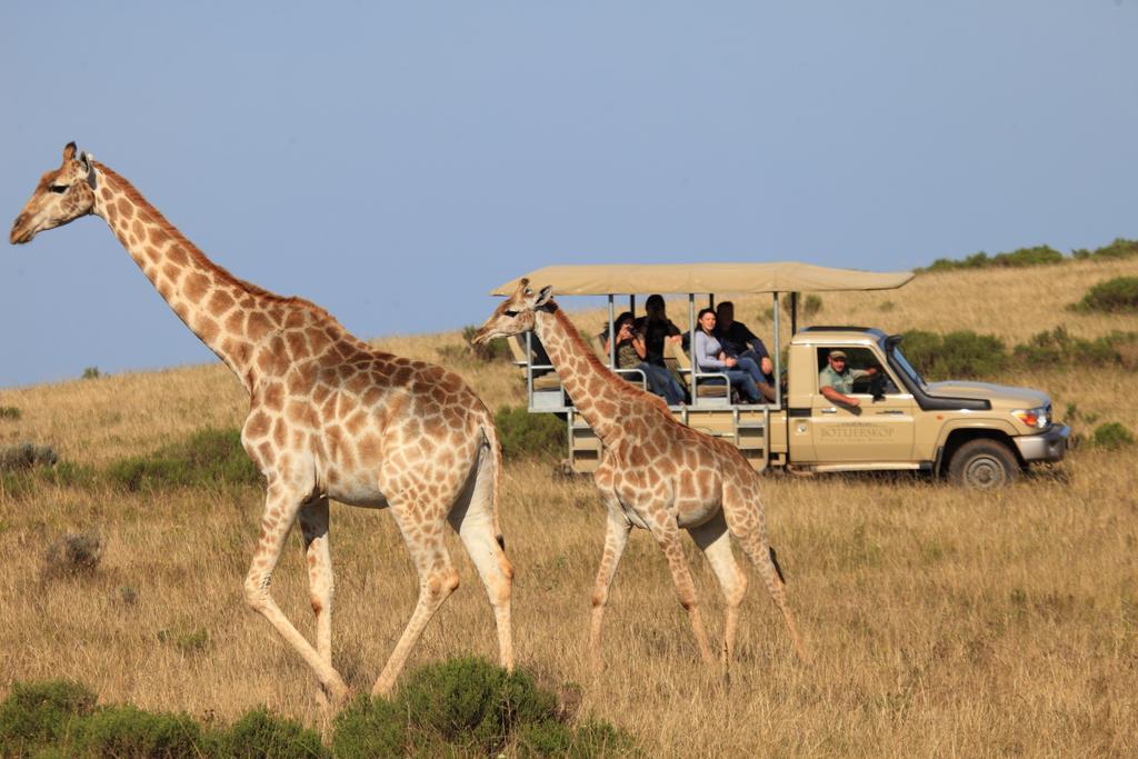 Botlierskop Bush Villas Sandhoogte Exteriör bild