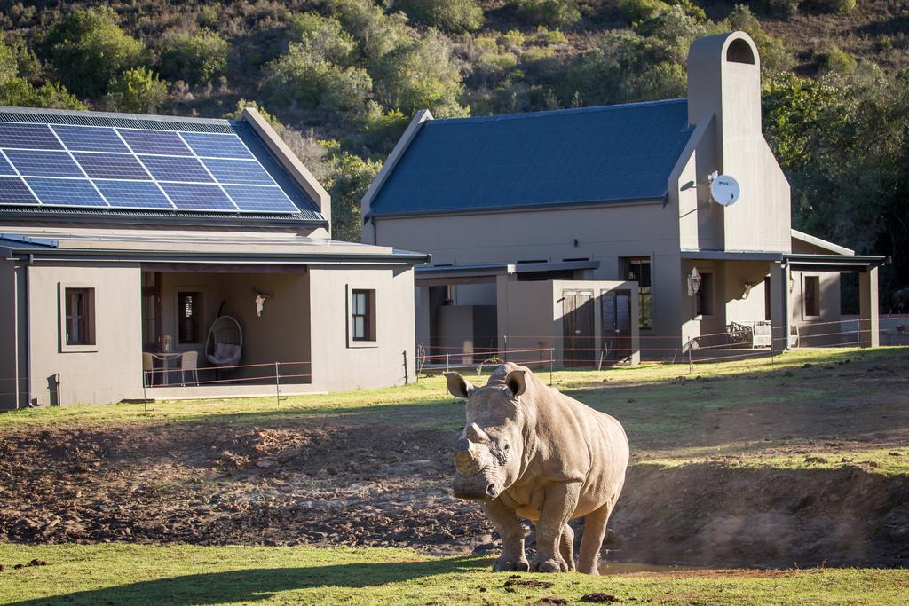 Botlierskop Bush Villas Sandhoogte Exteriör bild