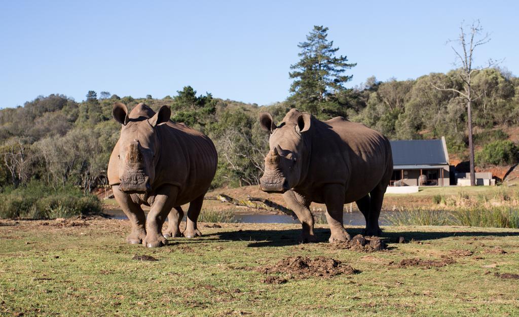 Botlierskop Bush Villas Sandhoogte Exteriör bild