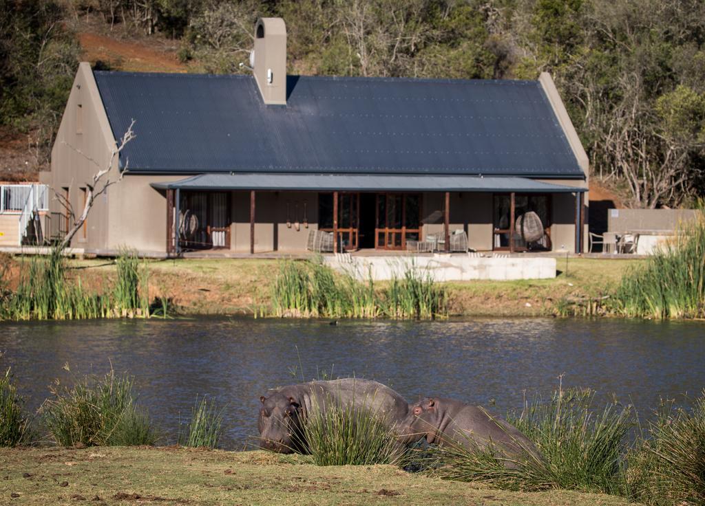 Botlierskop Bush Villas Sandhoogte Exteriör bild